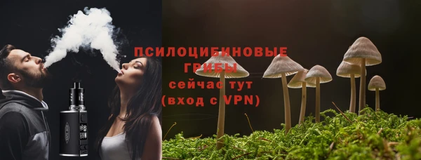 PSILOCYBIN Верхний Тагил